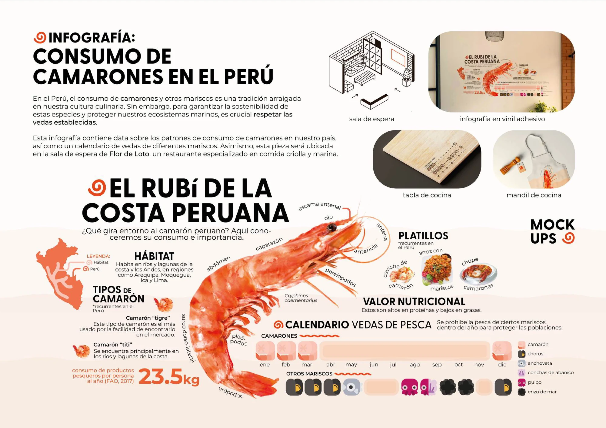 Infografía completa: El rubí de la costa peruana