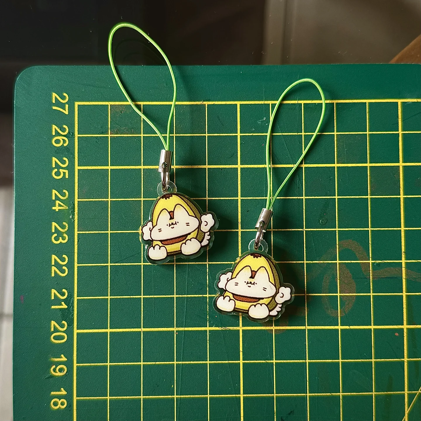 Charm: Michipalta · CH-009