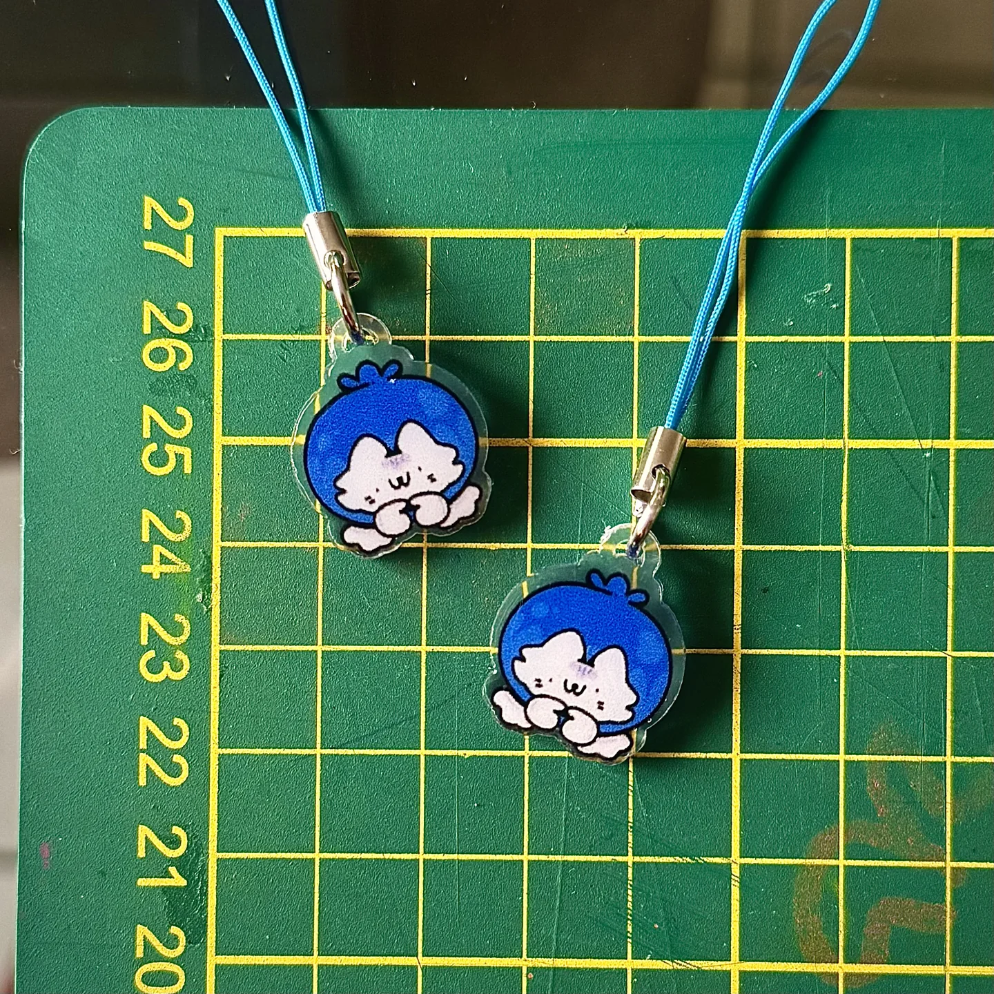Charm: Michiarándano · CH-014